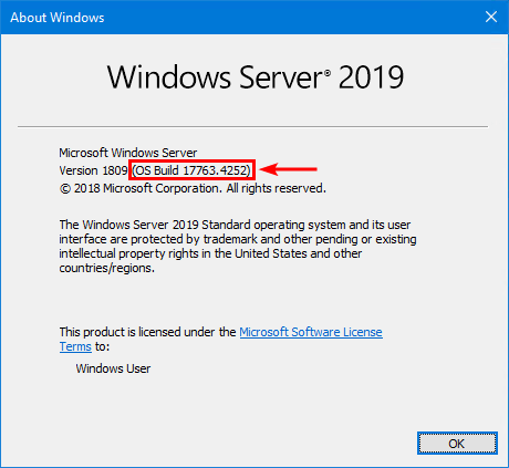 Windows Server OS build number