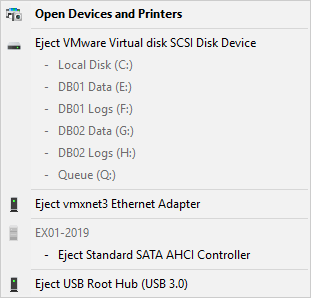 Disks appear as portable devices on VMware VM list NIC and SCSI controllers